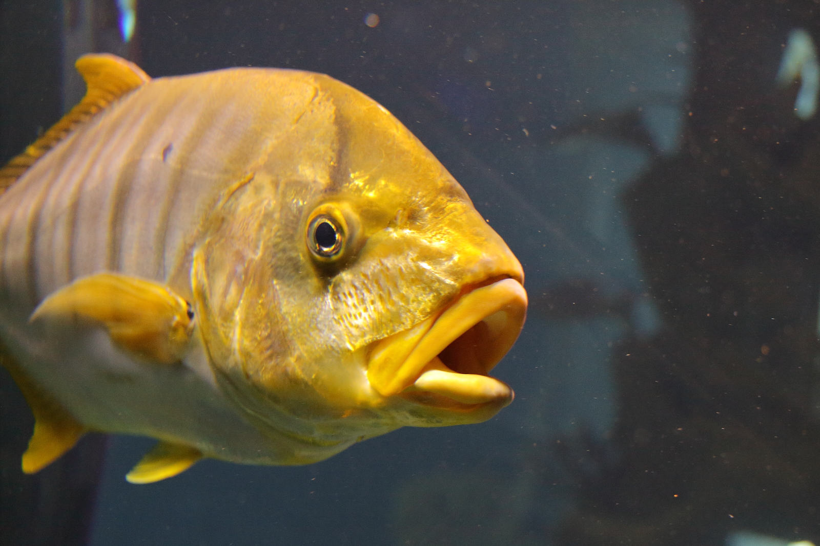 Aqua Terra Zoo Vienna