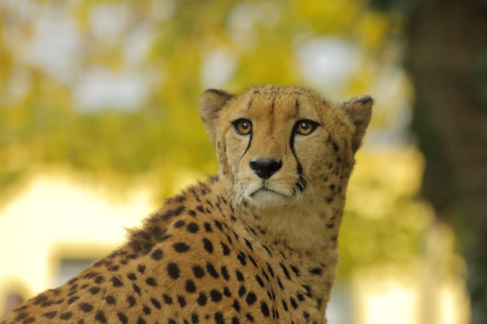 Zoo Vienna Schönbrunn