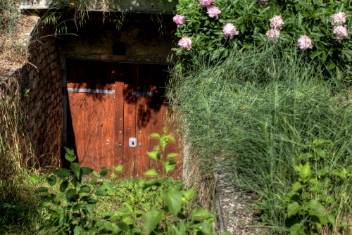 Wine cellar exploring