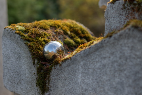 Cemetery Autumn athmoSphere
