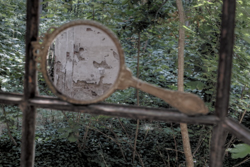 Reflections of the past